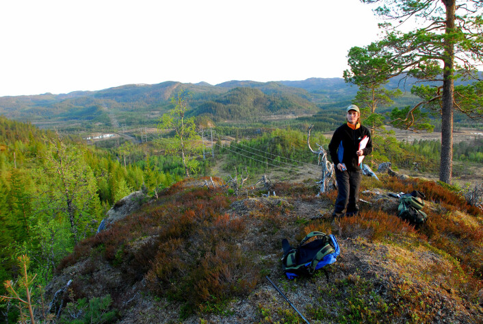 Gundula Bartzke i felt for å undersøke hvordan kraftlinjer påvirker elgen. (Foto: NINA) Gundula Bartzke i felt for å undersøke hvordan kraftlinjer påvirker elgen. (Foto: NINA)