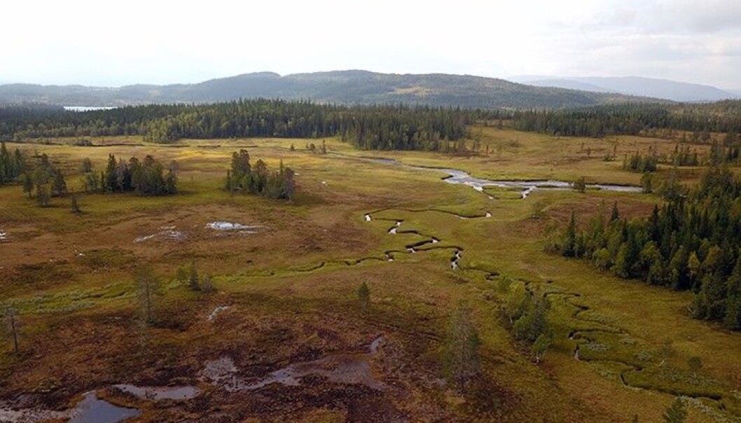 Klattar av randmorenar med vegetasjon ved ein meanderande bekk, nær Gammelvollsjøen i Tydal. (Foto: Marianne Christoffersen og Astrid Lyså) Klattar av randmorenar med vegetasjon ved ein meanderande bekk, nær Gammelvollsjøen i Tydal. (Foto: Marianne Christoffersen og Astrid Lyså)