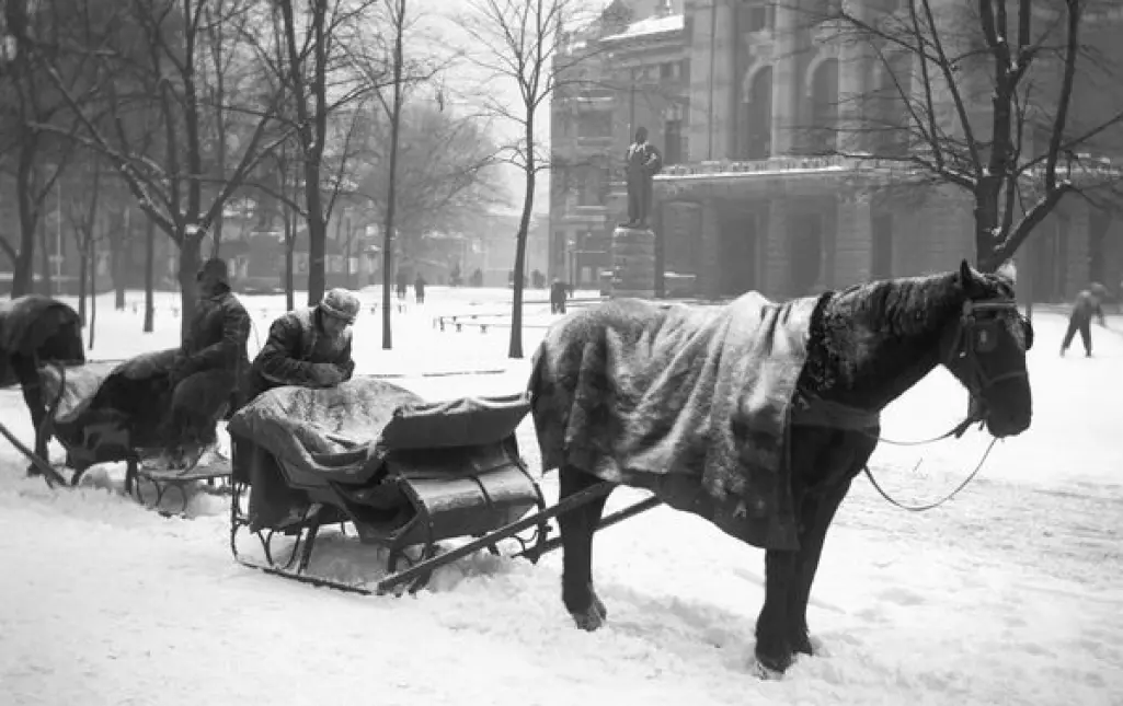 Slededrosjer står klare ved Nationaltheatret en vinterdag i 1904. Her har hestene fått et teppe over ryggen som beskyttelse mot kulde og snø. Dyrebeskyttelsen drev informasjonsarbeid for å bedre hverdagen for arbeidshestene. (Bilde: Anders Beer Wilse/ Oslo Museum)