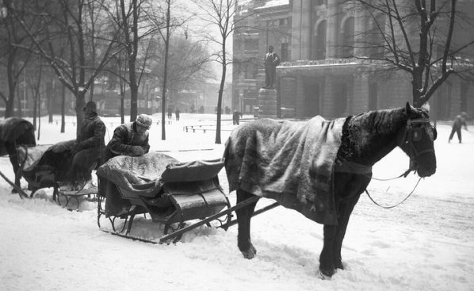 Slededrosjer står klare ved Nationaltheatret en vinterdag i 1904. Her har hestene fått et teppe over ryggen som beskyttelse mot kulde og snø. Dyrebeskyttelsen jobbet for bedre hverdagen for arbeidshestene. (Bilde: Anders Beer Wilse/ Oslo Museum)