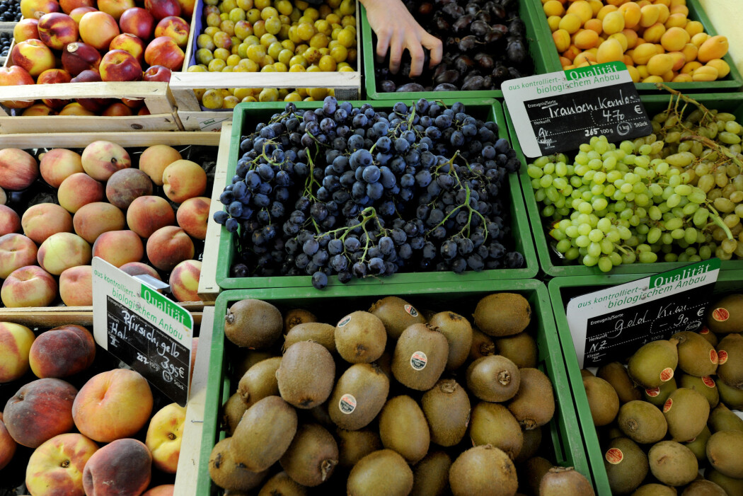 Høyt inntak av kullsyre- og sukkerholdige drikker, hurtigmat og mangel på vitaminer og næringsstoffer kan hindre hjernens utvikling, føre til lærevansker, dårlig immunsystem, flere infeksjoner og i verste tilfelle død. (Foto: Frank May, NTB scanpix) Høyt inntak av kullsyre- og sukkerholdige drikker, hurtigmat og mangel på vitaminer og næringsstoffer kan hindre hjernens utvikling, føre til lærevansker, dårlig immunsystem, flere infeksjoner og i verste tilfelle død. (Foto: Frank May, NTB scanpix)