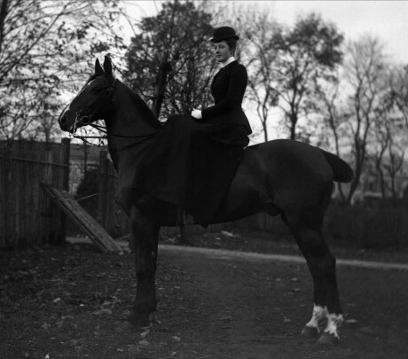 Dyrebeskyttelsen Er 160 Ar Kjempet For Bedovelse For Slakt Og Mot