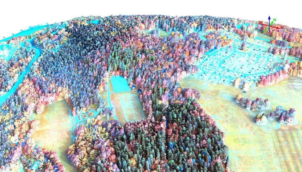 I et hyperspektralt bilde kommer forskjellene mellom de ulike tresortene i Ekebergparken i Oslo tydelig frem. Her er hyperspektrale data koblet med 3D-info fra laserdata, slik at man også ser høyden på trærne. (Illustrasjon: Terratec AS) I et hyperspektralt bilde kommer forskjellene mellom de ulike tresortene i Ekebergparken i Oslo tydelig frem. Her er hyperspektrale data koblet med 3D-info fra laserdata, slik at man også ser høyden på trærne. (Illustrasjon: Terratec AS)