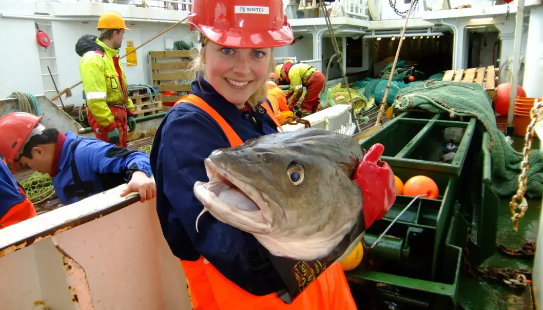 - Skal vi konkurrere med lavkostland, må vi utnytte vårt viktigste fortrinn, nemlig nærheten til råvaren, mener Ida Aursand i Sintef Fiskeri og havbruk.  (Foto: Sintef)