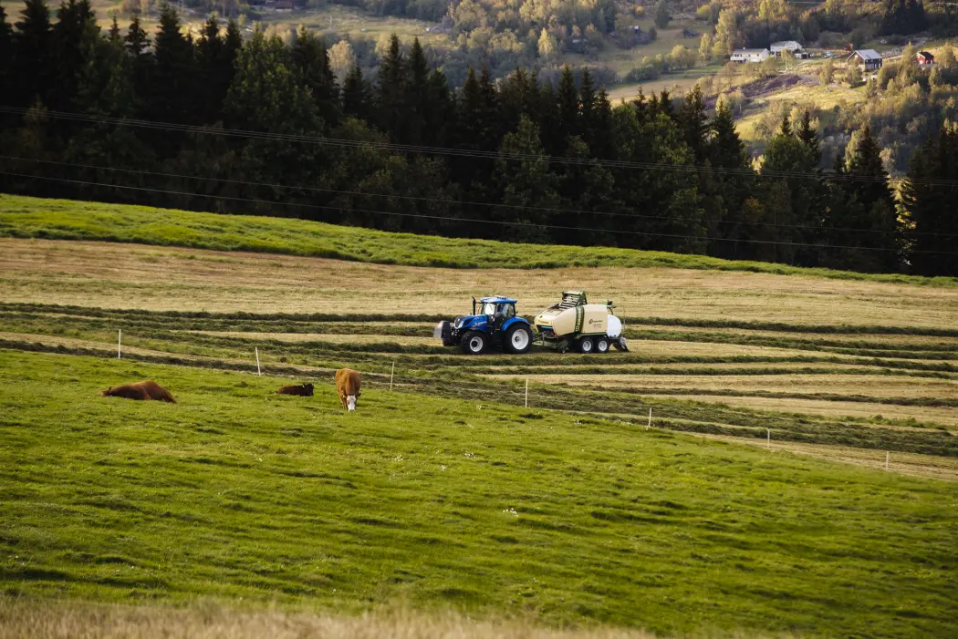 Nesten halve jordbruksarealet i Norge var i 2018 leiejord, viser tall fra SSB. (Foto: Stian Lysberg Solum, NTB scanpix) Nesten halve jordbruksarealet i Norge var i 2018 leiejord, viser tall fra SSB. (Foto: Stian Lysberg Solum, NTB scanpix)