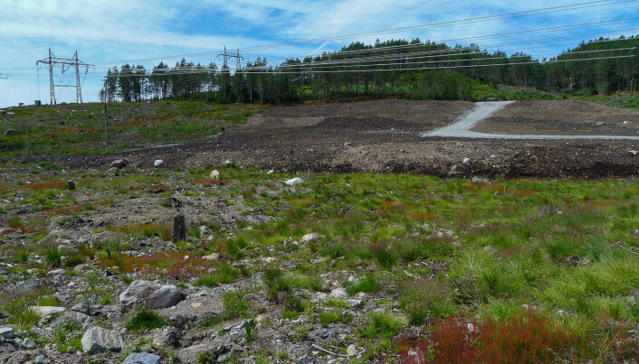 Når Statnett skal bygge trafostasjon går det med temmelig mye areal. Foto: Dagmar Hagen / NINA. Når Statnett skal bygge trafostasjon går det med temmelig mye areal. Foto: Dagmar Hagen / NINA.