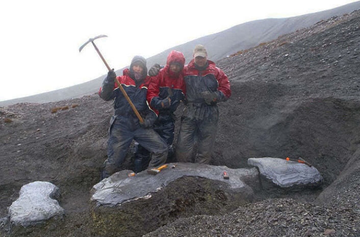 Utgravingen av Mikkel ved Janusfjellet på Svalbard. (Foto: Spitsbergen Jurassic Research Group) Utgravingen av Mikkel ved Janusfjellet på Svalbard. (Foto: Spitsbergen Jurassic Research Group)