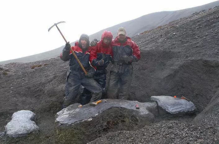 Utgravingen av Mikkel ved Janusfjellet på Svalbard. (Foto: Spitsbergen Jurassic Research Group)