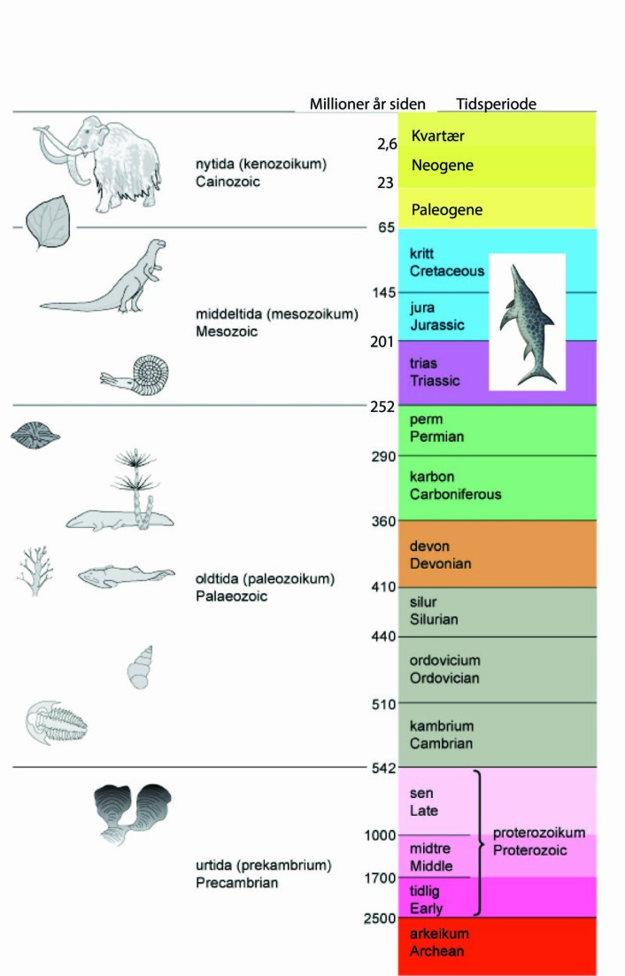 Jordas historie med navn på tidsperiodene. Fiskeøglene levde i trias, jura og kritt. (Foto: (Illustrasjon modifisert fra arcticsystem.no))