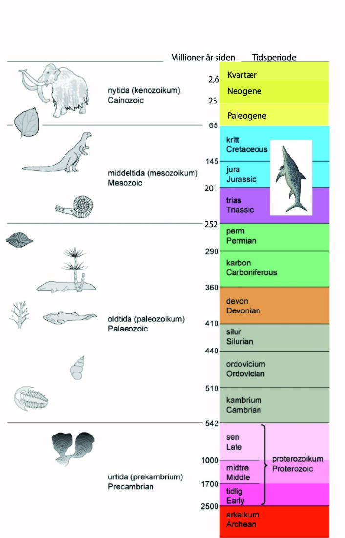 Jordas historie med navn på tidsperiodene. Fiskeøglene levde i trias, jura og kritt. (Foto: (Illustrasjon modifisert fra arcticsystem.no)) Jordas historie med navn på tidsperiodene. Fiskeøglene levde i trias, jura og kritt. (Foto: (Illustrasjon modifisert fra arcticsystem.no))