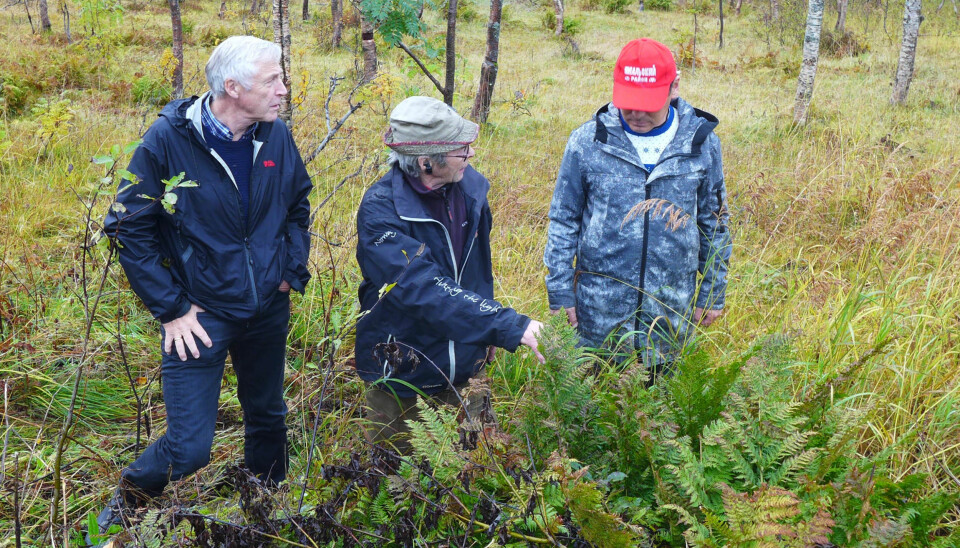 Forskerne med den samiske reindriftsutøveren Per Kitti. Han viste dem blant annet planter som vokser annerledes på grunn av klimaendringer. (Foto: Zoia Vylka Ravna / NIKU)
