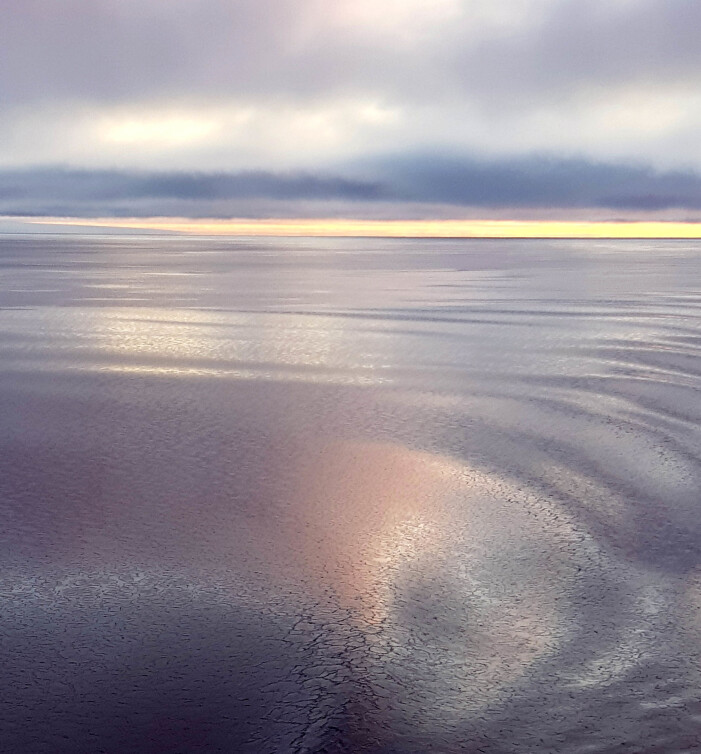 Silkemyk sjø med skjør skorpe av is (Foto: Lilja R. Bjarnadóttir, NGU) Silkemyk sjø med skjør skorpe av is (Foto: Lilja R. Bjarnadóttir, NGU)
