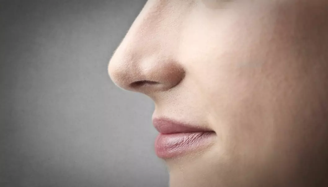 Blir vi tiltrukket av neser?