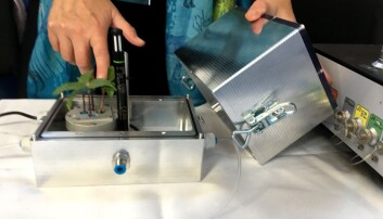 NTNU-forskere har tidligere bidratt til å utvikle vekstkamre for å teste hvordan astronauter kan dyrke grønnsaker i verdensrommet. Nå skal de utvikle et vekstkammer for en type celle kalt en organoid. (Foto: Nancy Bazilchuk). NTNU-forskere har tidligere bidratt til å utvikle vekstkamre for å teste hvordan astronauter kan dyrke grønnsaker i verdensrommet. Nå skal de utvikle et vekstkammer for en type celle kalt en organoid. (Foto: Nancy Bazilchuk).