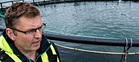 Lukkede merdsystem i sjø beskytter laksen mot lakselus