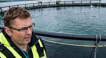 Lukkede merdsystem i sjø beskytter laksen mot lakselus