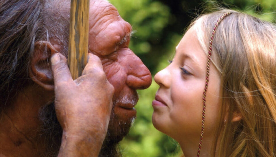 I noen områder kan moderne mennesker og neandertalere ha eksistert side om side i over 5000 år. (Foto: Neanderthal Museum, Mettmann, Tyskland)