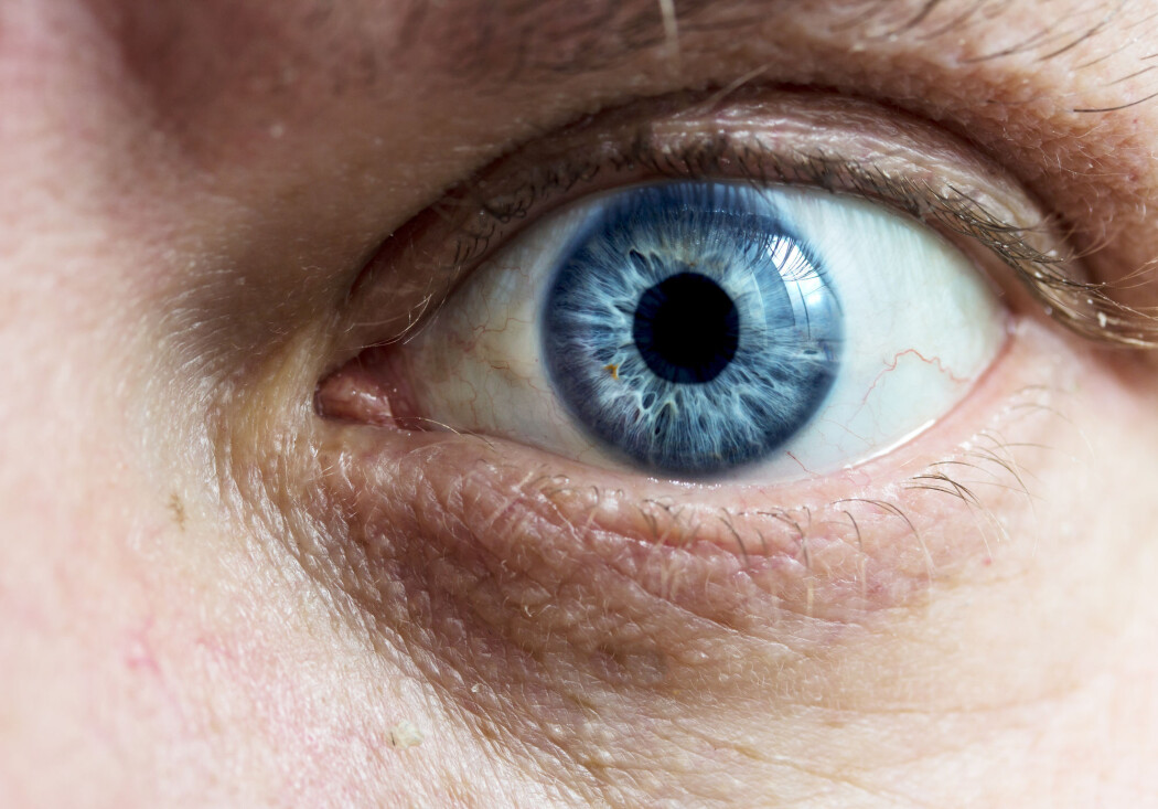– Det å bli observert påvirker faktisk handlingene våre. Hvis noen kan se oss, mister vi noe av friheten vår, sier norsk forsker. (Illustrasjonsbilde: kzww, Shutterstock, NTB scanpix) – Det å bli observert påvirker faktisk handlingene våre. Hvis noen kan se oss, mister vi noe av friheten vår, sier norsk forsker. (Illustrasjonsbilde: kzww, Shutterstock, NTB scanpix)