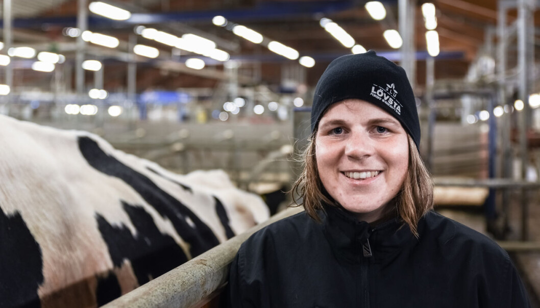 Haldis Kismul, doktorgradstipendiat ved Nord universitet, Fakultet for biovitenskap og akvakultur. Her i sitt rette element. (Foto: Fredrik Bergenkvist). Haldis Kismul, doktorgradstipendiat ved Nord universitet, Fakultet for biovitenskap og akvakultur. Her i sitt rette element. (Foto: Fredrik Bergenkvist).