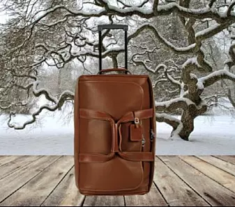 Statusbevisste deltakere foretrakk en koffert i vinterlandskap fremfor samme koffert med sommerbakgrunn. De kvalitetsbevisste syntes det var hipp som happ. (Foto: Journal of Consumer Psychology.)