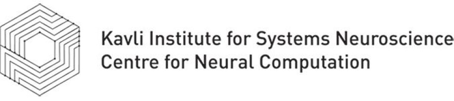 Faculty position in Human Systems Neuroscience