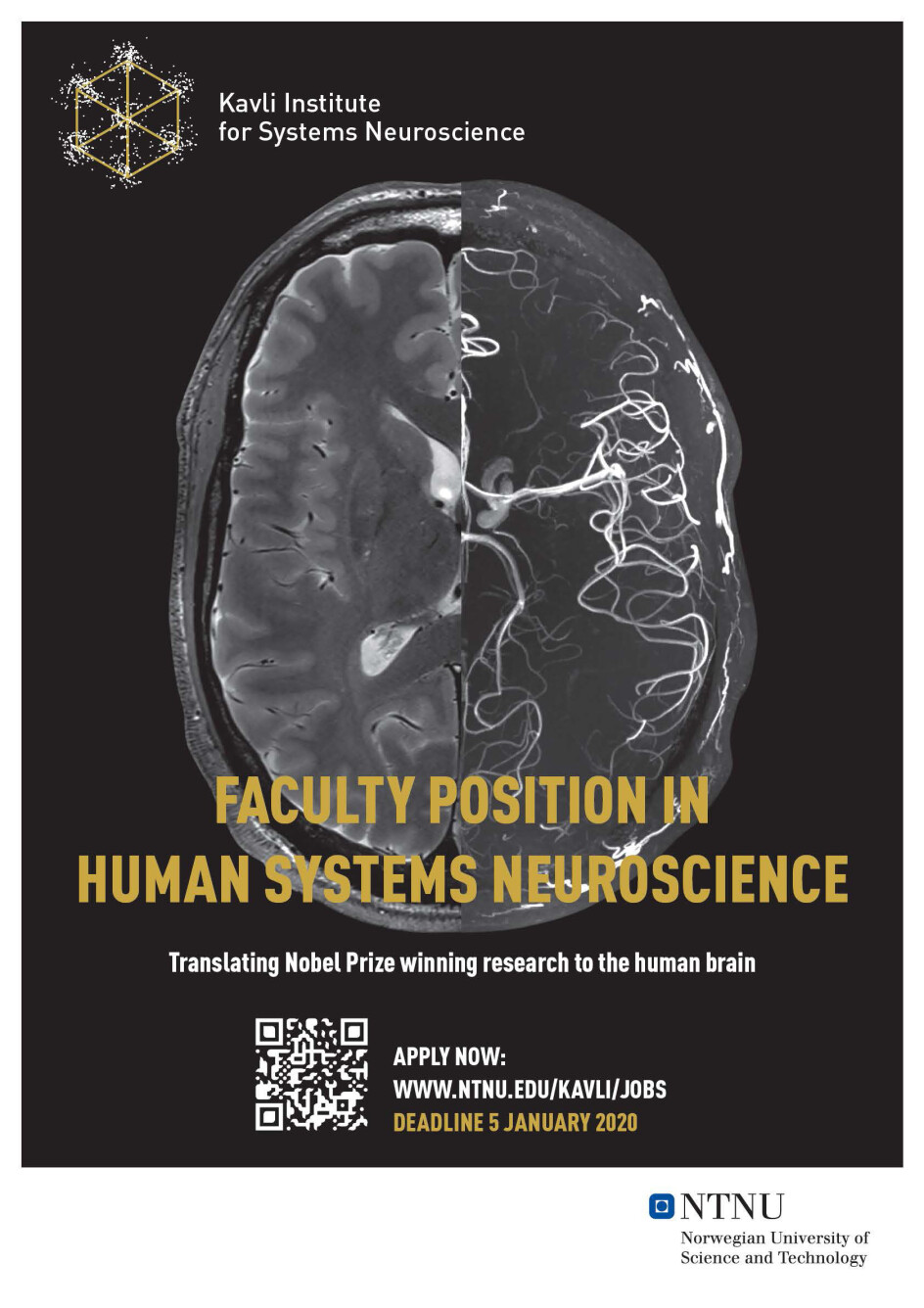 Faculty position in Human Systems Neuroscience