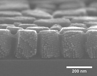 This scanning electron microscopy image clearly shows the 12 nm nanocubes assembled into supercrystals. (Photo: Verner Håkonsen/NTNU) This scanning electron microscopy image clearly shows the 12 nm nanocubes assembled into supercrystals. (Photo: Verner Håkonsen/NTNU)