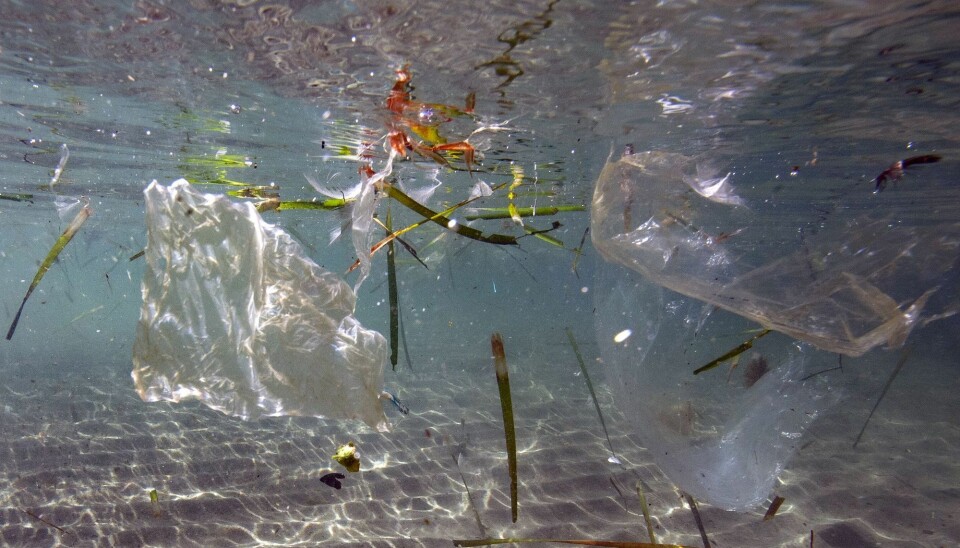 Dette bildet ble tatt i mai 2019 og viser plastsøppel som flyter rundt i havet i Marseille. Hvor denne plasten ender opp før den brytes ned og om den brytes ned er det ingen som vet. Foto: Boris HORVAT / AFP