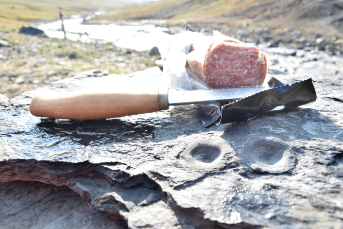 Siste feltmote! Skjærefjøl av fiskeøgle. (Foto: Victoria Engelschiøn Nash) Siste feltmote! Skjærefjøl av fiskeøgle. (Foto: Victoria Engelschiøn Nash)