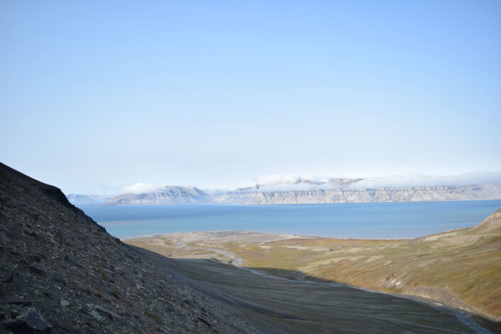 En stor fjord for mennesket. En liten svømmetur for isbjørnen (Foto: Victoria Engelschiøn Nash) En stor fjord for mennesket. En liten svømmetur for isbjørnen (Foto: Victoria Engelschiøn Nash)