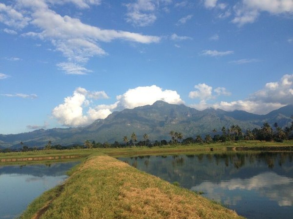 Renseanlegget i Morogoro (Foto: Yngvild Wasteson)