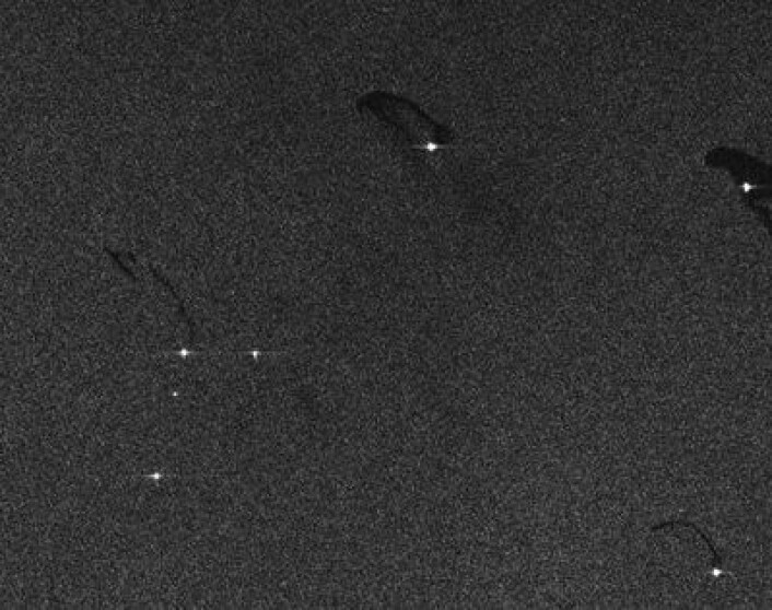 Radarbilde tatt fra Sentinel-1A et sted "off the coast of Norway", som det stod i pressemeldingen fra ESA og EU nylig. (Foto: (ESA)) Radarbilde tatt fra Sentinel-1A et sted "off the coast of Norway", som det stod i pressemeldingen fra ESA og EU nylig. (Foto: (ESA))