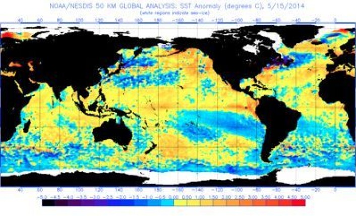 Satellittmålt sjøtemperatur-avvik, 15. mai 2014. (Foto: (NOAA)) Satellittmålt sjøtemperatur-avvik, 15. mai 2014. (Foto: (NOAA))