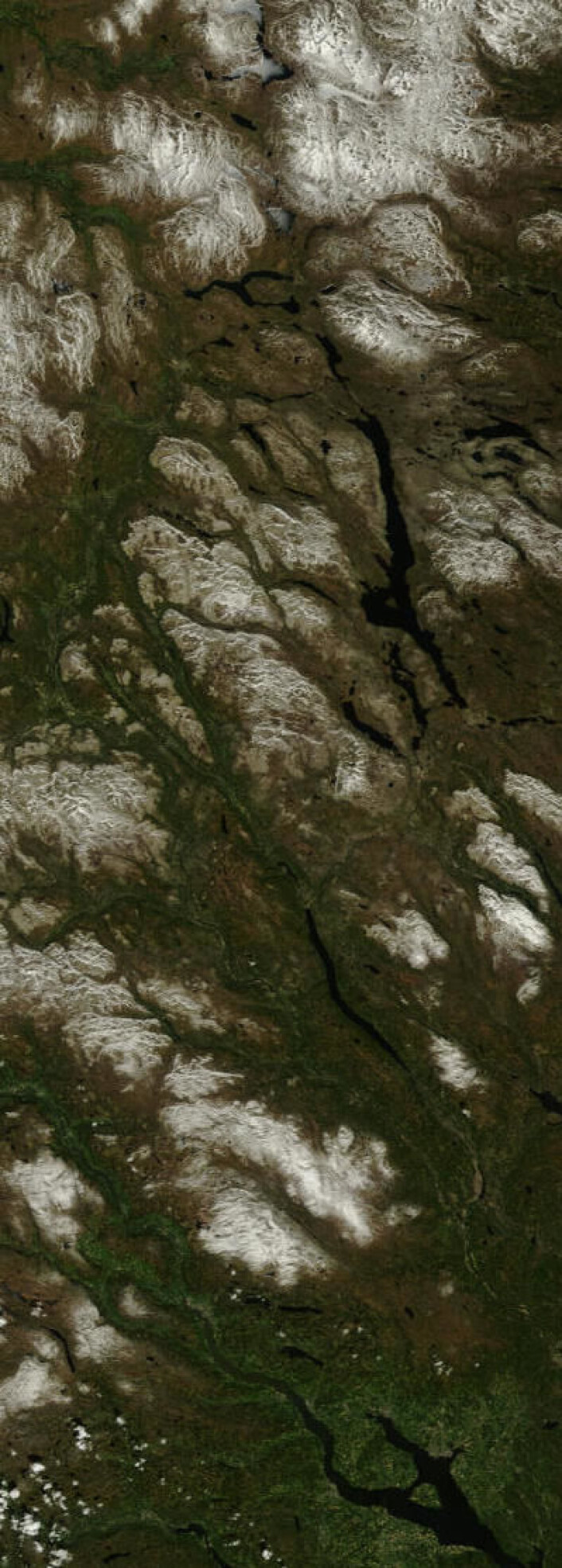 Et langt satellittpass med mye fin natur fra Tydal til Hamar 29. mai. (Foto: (NASA Terra MODIS)) Et langt satellittpass med mye fin natur fra Tydal til Hamar 29. mai. (Foto: (NASA Terra MODIS))