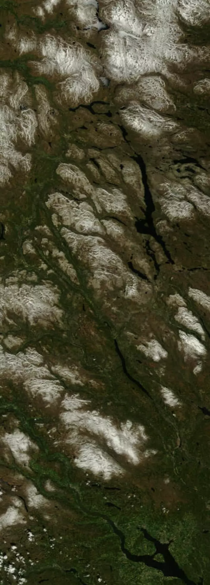 Et langt satellittpass med mye fin natur fra Tydal til Hamar 29. mai. (Foto: (NASA Terra MODIS))