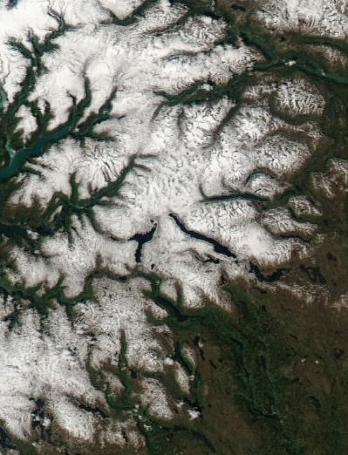 Sognefjellet og Valdresflya sett fra NASAs satellitt Aqua på en nesten skyfri passering fredag 13. juni. (Foto: (NASA Aqua MODIS)) Sognefjellet og Valdresflya sett fra NASAs satellitt Aqua på en nesten skyfri passering fredag 13. juni. (Foto: (NASA Aqua MODIS))