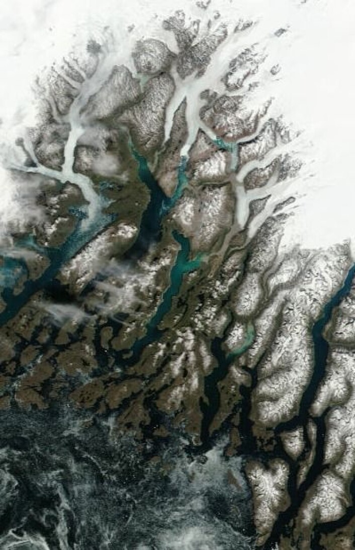 19. juni var det fortsatt noe sjøis i fjorden utenfor stedet der Eirik Raudes gård Brattahlid en gang lå. (Foto: (NASA Terra MODIS)) 19. juni var det fortsatt noe sjøis i fjorden utenfor stedet der Eirik Raudes gård Brattahlid en gang lå. (Foto: (NASA Terra MODIS))
