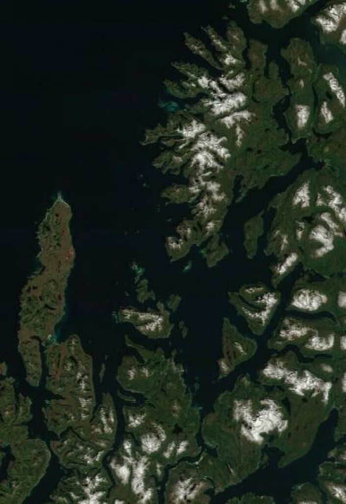 Sol og sommer i Nord-Norge da NASAs satellitt Terra passerte 9. juli. (Foto: (NASA Terra MODIS)) Sol og sommer i Nord-Norge da NASAs satellitt Terra passerte 9. juli. (Foto: (NASA Terra MODIS))