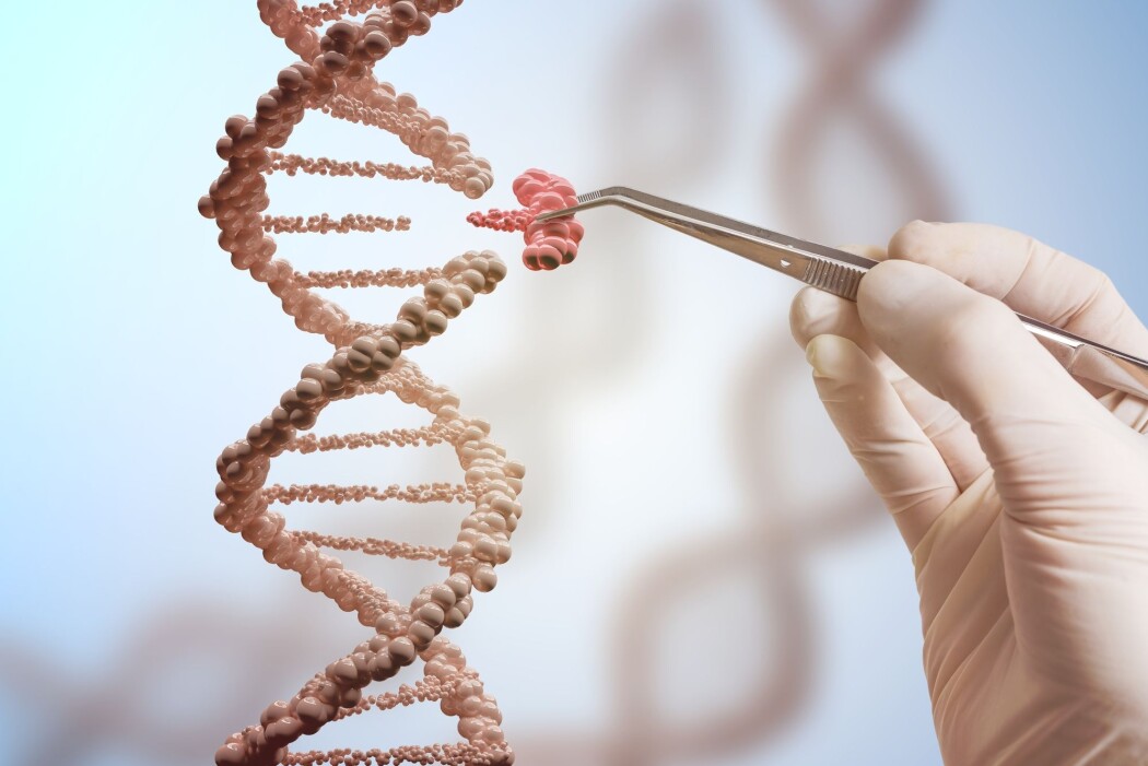 Litt som en liten pinsett eller saks gjør CRISPR-teknologien at forskere kan klippe i DNA med veldig høy presisjon. (Foto: vchal / Shutterstock / NTB scanpix) Litt som en liten pinsett eller saks gjør CRISPR-teknologien at forskere kan klippe i DNA med veldig høy presisjon. (Foto: vchal / Shutterstock / NTB scanpix)