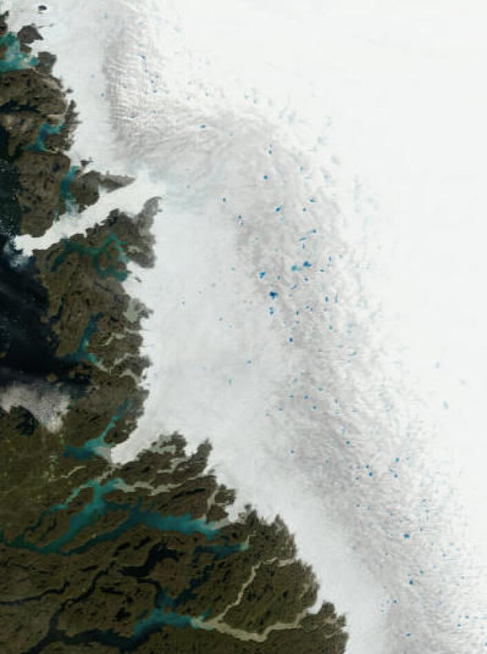 Mye smeltevann oppe på Grønlands store isbre 11. juli. (Oppløsning er redusert 2x for å dekke et større område). (Foto: (NASA Terra MODIS)) Mye smeltevann oppe på Grønlands store isbre 11. juli. (Oppløsning er redusert 2x for å dekke et større område). (Foto: (NASA Terra MODIS))