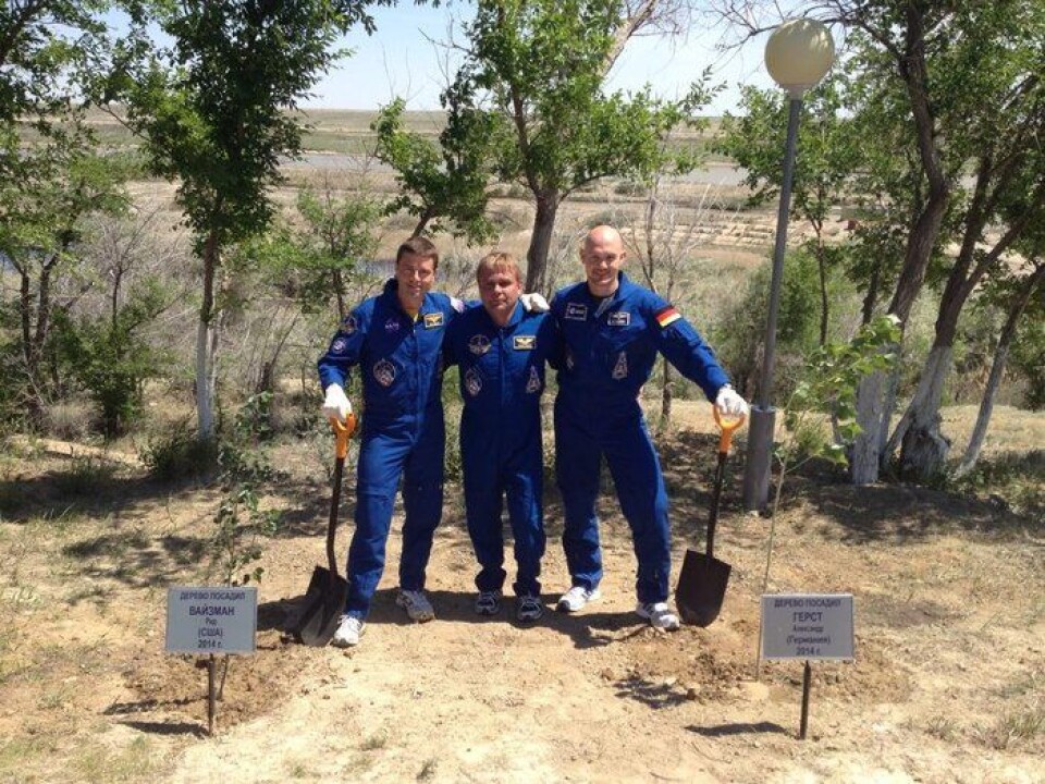 Expedition 40 til romstasjonen, fra venstre NASAs astronaut Reid Wiseman, kommandør Maksim Surajev fra Roscosmos, og ESAs astronaut Alexander Gerst, planter astronautenes tradisjonelle tre før oppskytingen. Foto: (Foto: ESA)