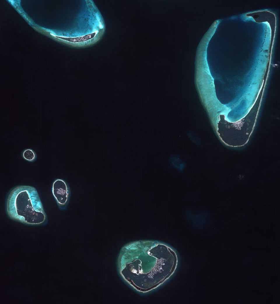 Haa Alif-atollen på Maldivene sett av satellitten Kompsat-2 i januar 2011. Foto: (Foto: KARI/ESA)