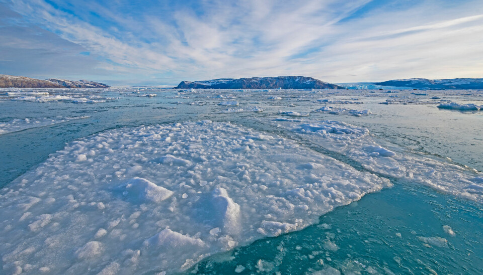 Vekst av sjøis kan ha ledet til kaldere forhold, som igjen kan ha intensivert veksten av is i Arktis lenge før den lille istid på 1300-tallet i Europa. (Illustrasjon: Wildnerdpix / Shutterstock / NTB scanpix)