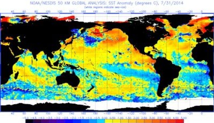 Temperatur-avvik i havoverflaten 31. juli. Meget varmt i våre farvann, ikke så varmt på den sydlige halvkule. (Foto: (NOAA)) Temperatur-avvik i havoverflaten 31. juli. Meget varmt i våre farvann, ikke så varmt på den sydlige halvkule. (Foto: (NOAA))