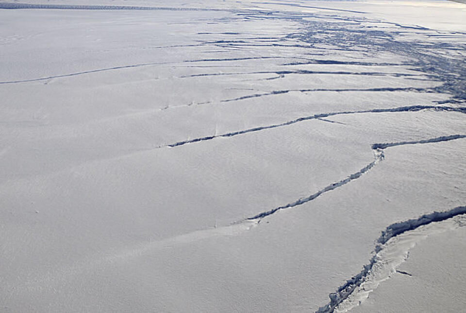 Isbreen Pine Island Glacier i Amundsenhavet er i ferd med å revne. Den er en av breene i dette området som smelter raskest i Antarktis. (Foto: Michael Studinger/NASA/Operation IceBridge)