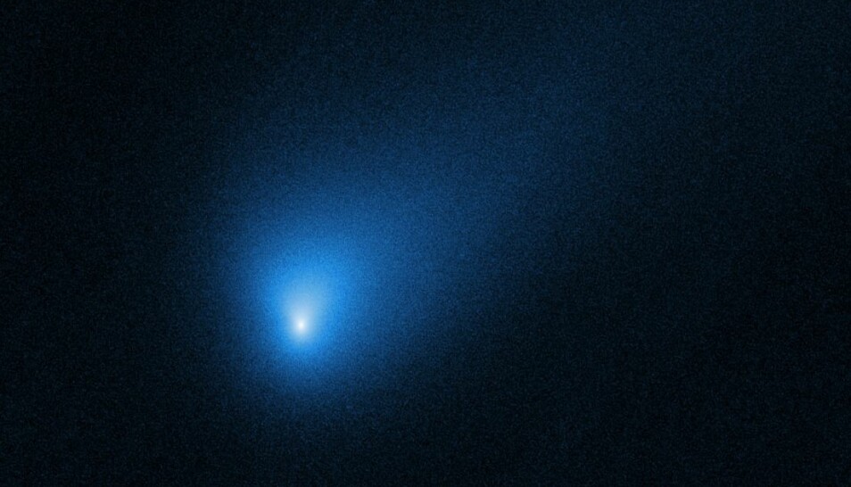 En liten lysende prikk! Dette bildet av kometen 2I/Borisov er tatt av romteleskopet Hubble. (Foto: NASA, ESA og D. Jewitt (UCLA))