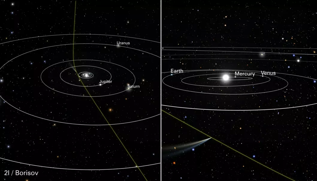 Bildet viser 2I/Borisovs bane igjennom solsystemet. Alt tyder på at den kommer inn fra det ytre rom. Bildet til høyre viser hvor kometen var 12. oktober 2019. Etter å ha sneid forbi sola, vil 2I/Borisov etter hvert forlate oss for alltid. (Illustrasjon: NASA, ESA, J. Olmsted og F. Summers (STScI))