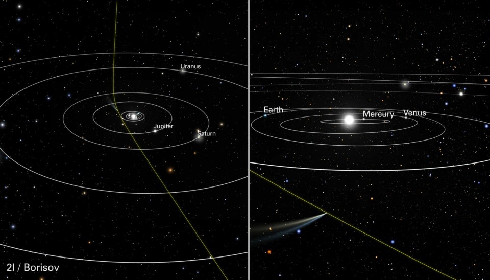 Den grønne streken viser banen som 2I/Borisov følger igjennom solsystemet vårt. I desember suser den forbi sola, et sted mellom planeten Mars og planeten Jupiter. (Illustrasjon: NASA, ESA, J. Olmsted og F. Summers (STScI))