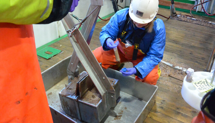 Prøvetaking av sjøvann og sedimenter for eDNA-analyse (environmental DNA). Bilder: Lilja R. Bjarnadóttir, NGU Prøvetaking av sjøvann og sedimenter for eDNA-analyse (environmental DNA). Bilder: Lilja R. Bjarnadóttir, NGU