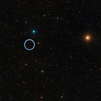 Galaksehopen SDSS J1531 3414 kan ses som en ansamling av svake, røde objekter inne i den blå sirkelen. (Foto: NASA/HUBBLE SPACE TELESCOPE)